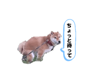 839871653