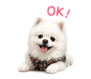 839871755