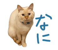 839871929