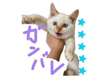 839871930