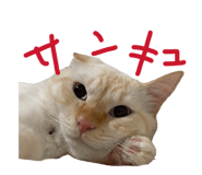 839871934