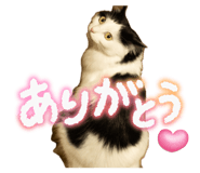 839871962