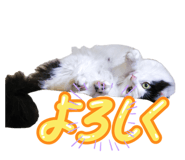 839871963