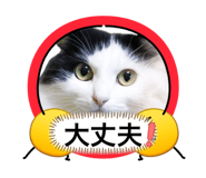839871971