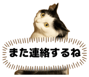 839871976