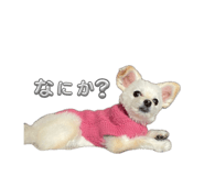 839872923