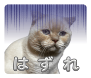 839872963