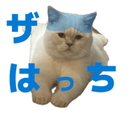 839872976