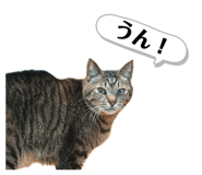 839873084