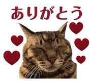 839873087