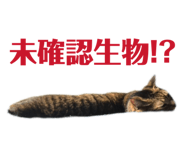 839873101