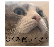 839873539
