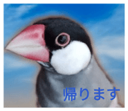 839880462