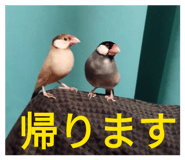 839880463