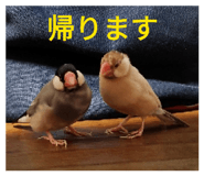 839880464