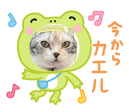 839880729