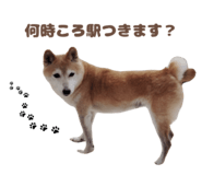 839880855