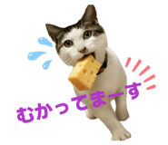 839881185