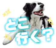 839881341