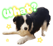 839881357