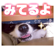 839881363