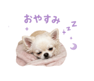 839882016