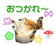 839885802
