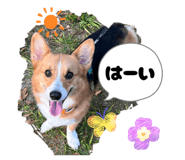 839885813