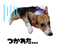 839885830