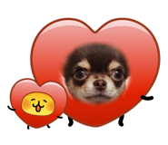 839886197