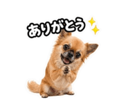 839886292