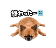 839886300