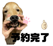 839886338