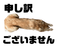 839886348
