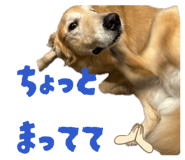839886355