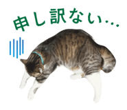 839886363