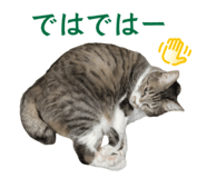 839886369