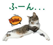 839886375