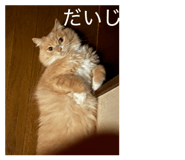 839886898