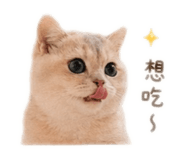 839887374