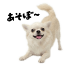 839887498