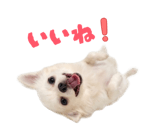 839887502