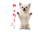839887504