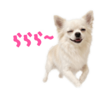 839887505