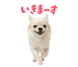 839887506
