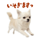 839887507