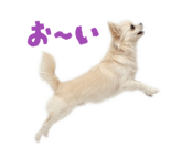 839887508