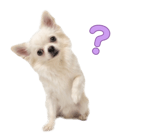 839887510