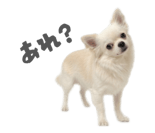 839887512