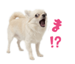 839887513